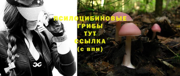 спиды Белокуриха