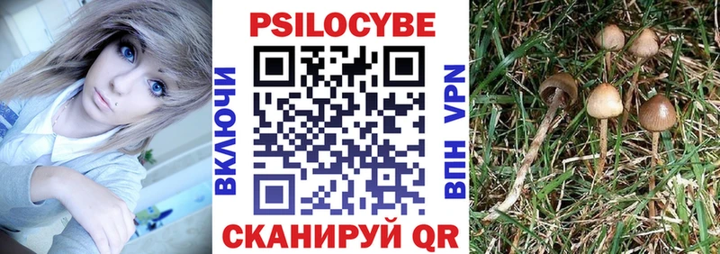 Галлюциногенные грибы мухоморы  где купить наркоту  Пенза 